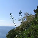 Il Cisto