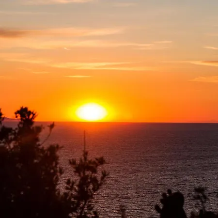 Il Cisto * Marciana (Isola d'Elba)